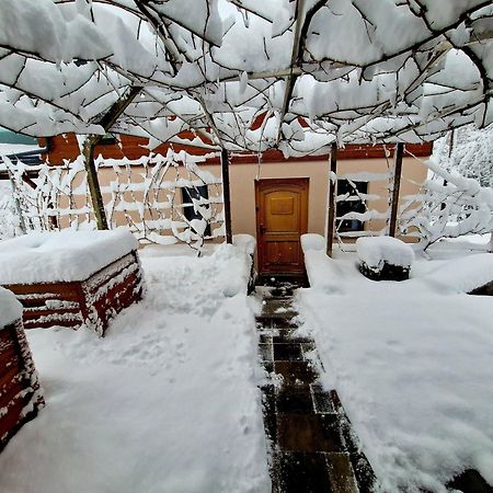 Vineyard Cottage Matej Trebnje Zewnętrze zdjęcie