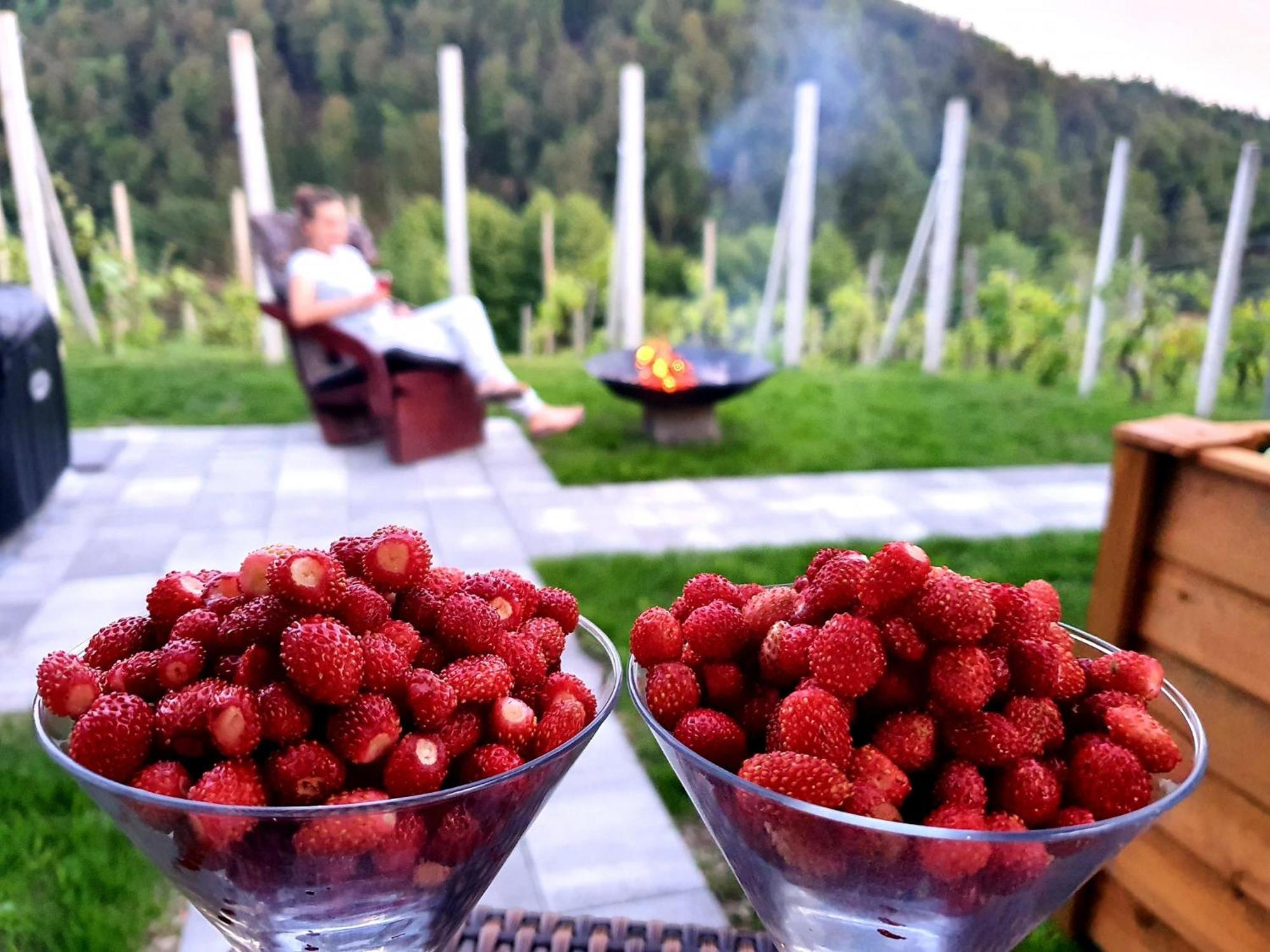 Vineyard Cottage Matej Trebnje Zewnętrze zdjęcie