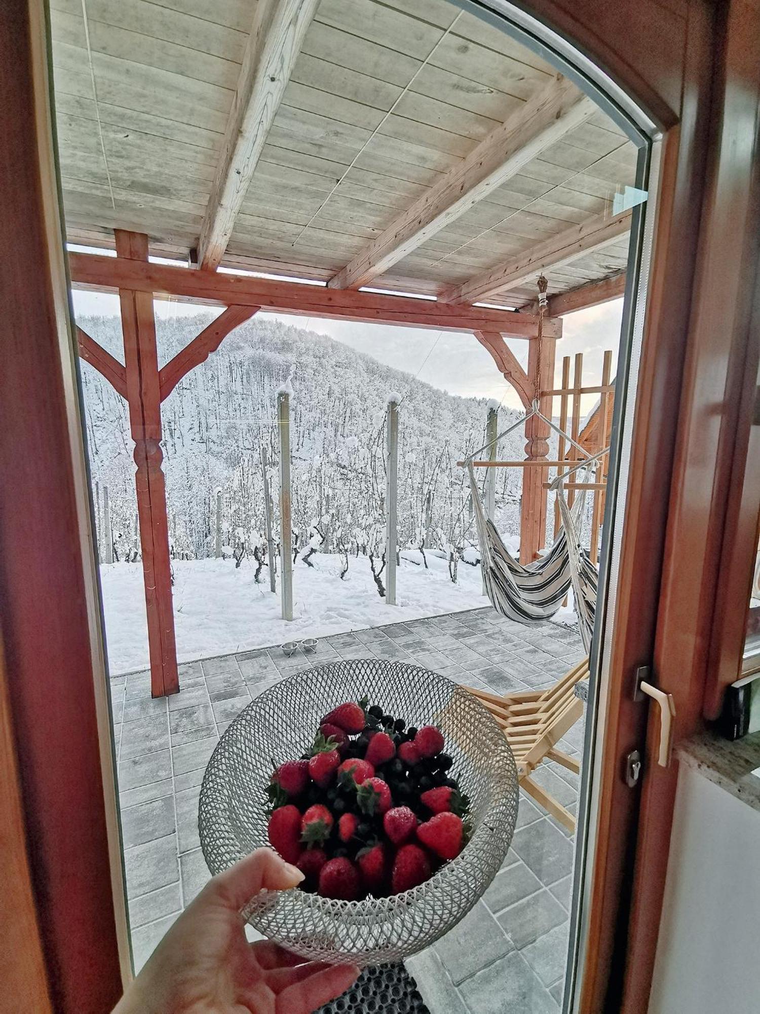 Vineyard Cottage Matej Trebnje Zewnętrze zdjęcie